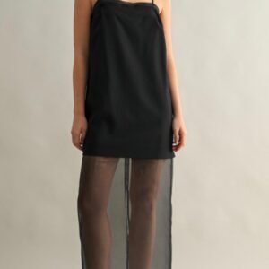 Organza Black Dress